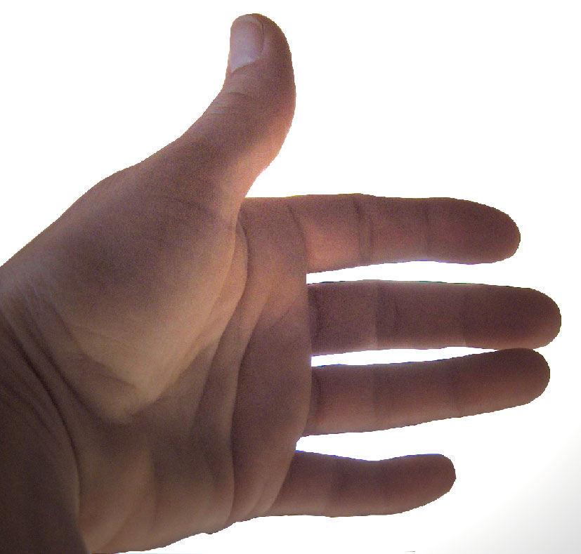 hand1.jpg