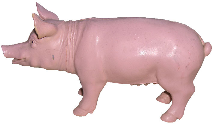 piggy.jpg